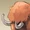 Mammoth avatar icon