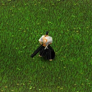 Phía sau (Chúa tể Tộc Dragon)