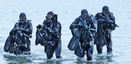 ROKN SEALS divers in full combat loadout during an training exercise.