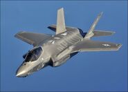 The F-35 Lightning II is used because of it's versatility, but due to skeptics from the government, only eight squadrons field these expensive aircraft.