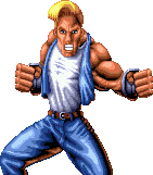 Battletoads and Double Dragon