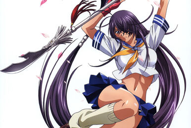 Shin Ikkitousen tan sólo tendrá 3 episodios, y su emisión será irregular