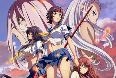 Ikkitousen: Shuugaku Toushi Keppuuroku (Ikki Tousen: Shugaku Toshi  Keppu-roku) · AniList