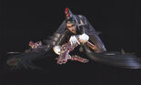 Bayonetta.(Character).full.775711