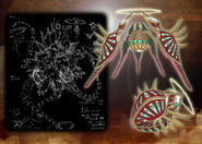 Early concept art depicting final form in black and white and details of an unused "Seed Form".