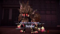 Introduction de Strider