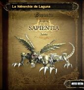 Sapientia