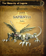 Sapientia (2nd)