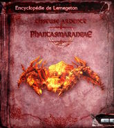 Phantasmaraneae