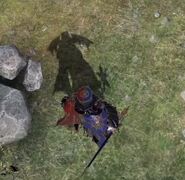 L'ombre de Bayonetta en portant Abracadabra