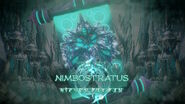 Introduction de Nimbostratus