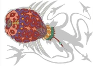 Artconcept-AnatomiefidelityBayo2.jpg (56 kio) Anatomie de Fidelity