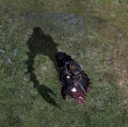 L'ombre de Bayonetta en portant Alruna