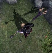 L'ombre de Bayonetta en portant Ribbit Libido BZ55