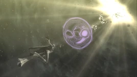 BayoAffinities-ProlBayo1