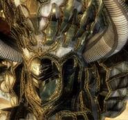 Le visage de Sapientia