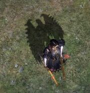 L'ombre de Bayonetta en portant Simoon