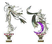 Trophées de platine et platine pur de Rosa