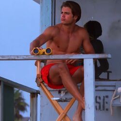 Matt Brody Gallery Baywatch Fandom