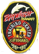 The patch seen on the jackets during Season 11.