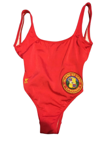 Baywatch transparent swimsuit top