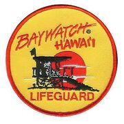 Baywatch hawaii lifeguard patch