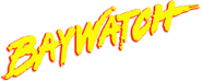 The logo seen on the rash guards