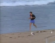 Baywatch - October 27, 1989.jpg (16 KB)