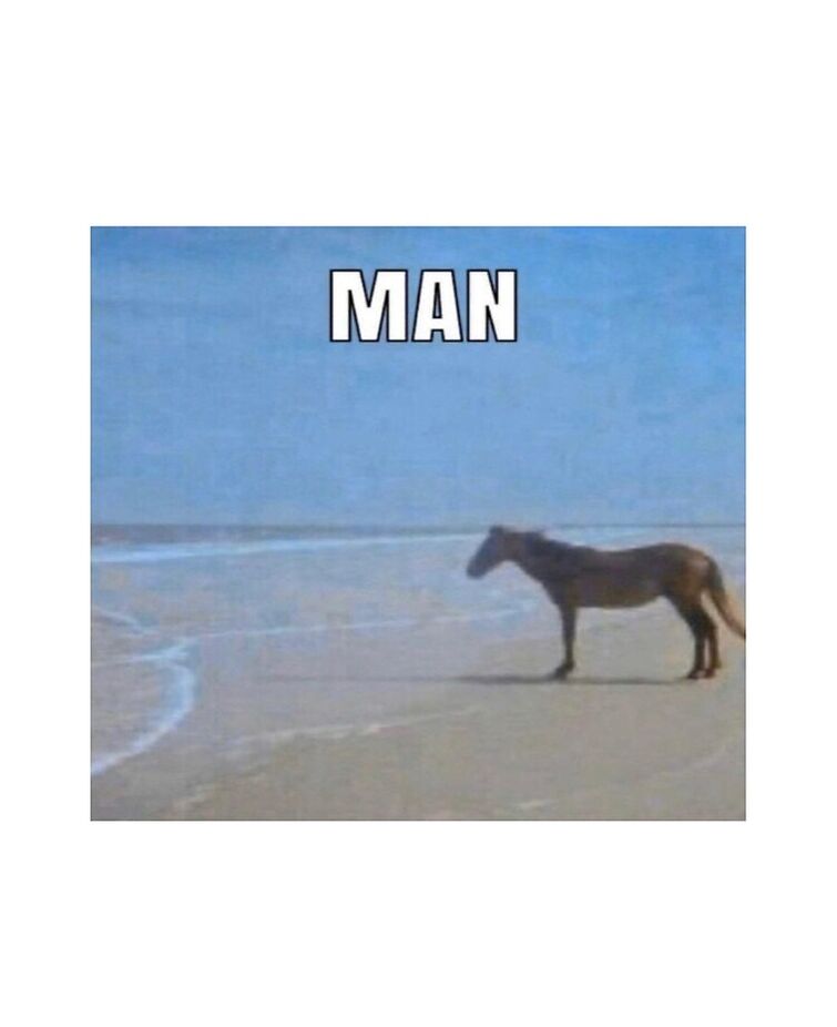 Потому е. Мем Мэн. My man Мем. Мем man Horse. Man мужик Мем.