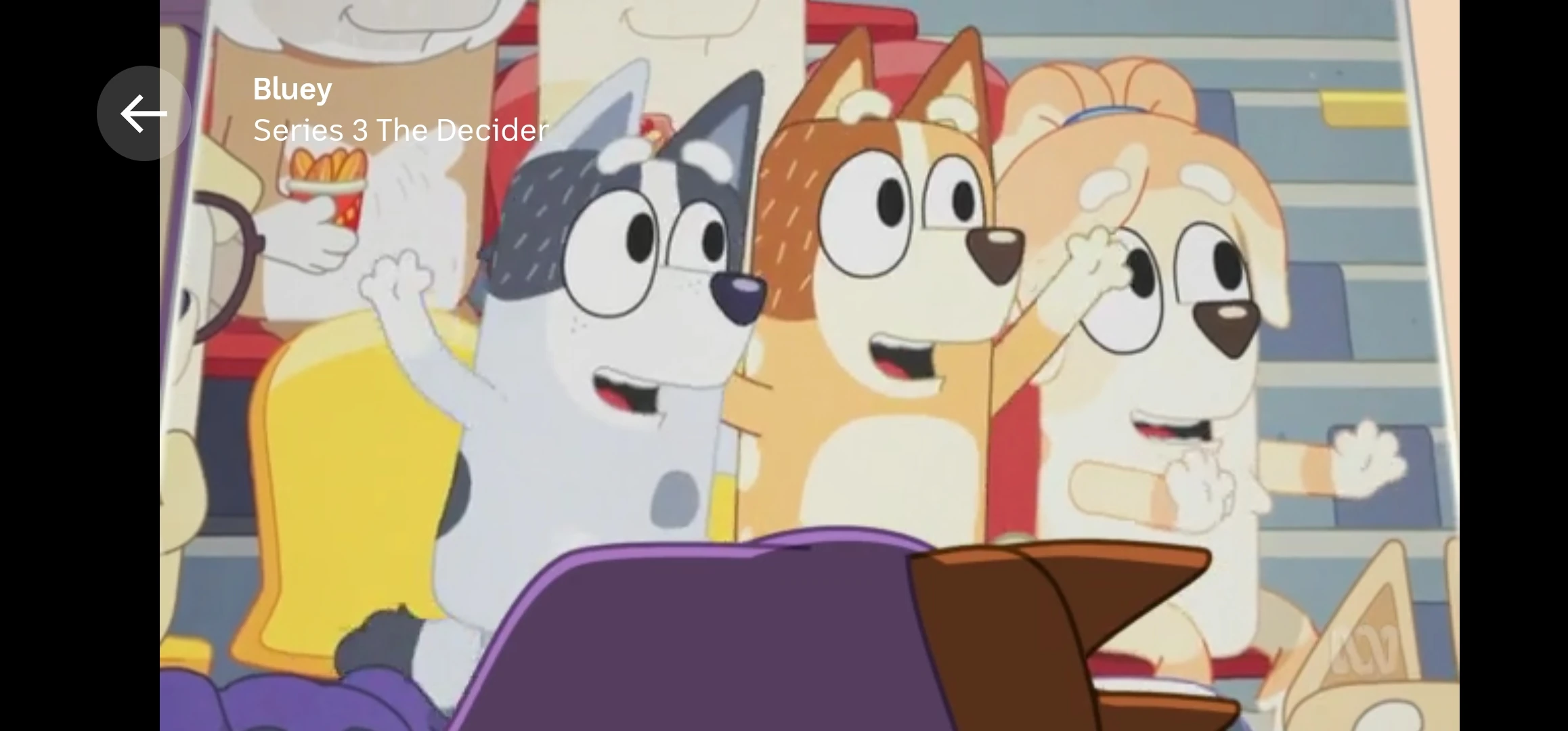 The Evolution Of Chilli Heeler From Bluey 2017 Pilot vrogue.co