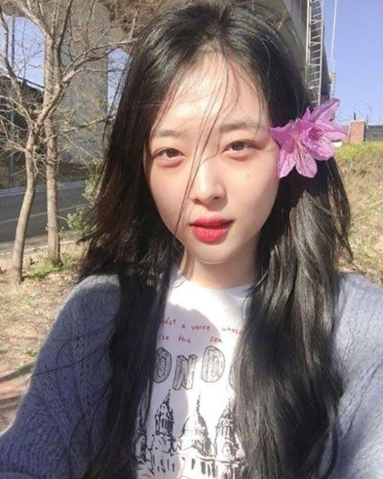Happy Birthday Sulli | Fandom