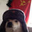 Аватар Zahru.Svir.GID