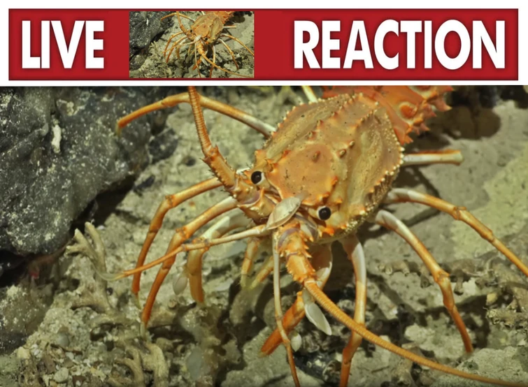 pencil and ruby making- | Fandom