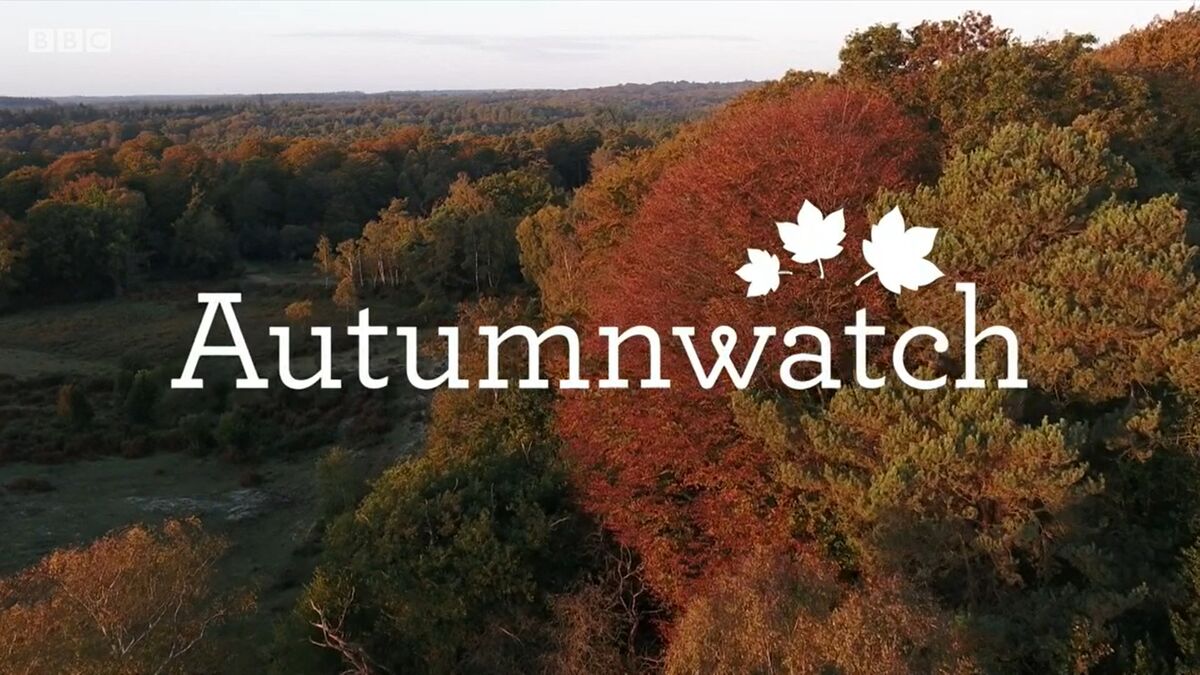 Autumnwatch episode 3 2018 - video Dailymotion