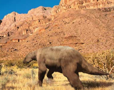 Shasta ground sloth | BBC Natural History Wiki | Fandom