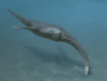 Kimmerosaurus