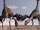 Gigantoraptor