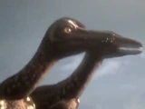 Alaskan Troodon