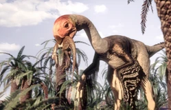 Gigantoraptor1.jpg (115 KB)