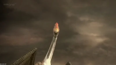 Chaoyangopterid Pterosaur