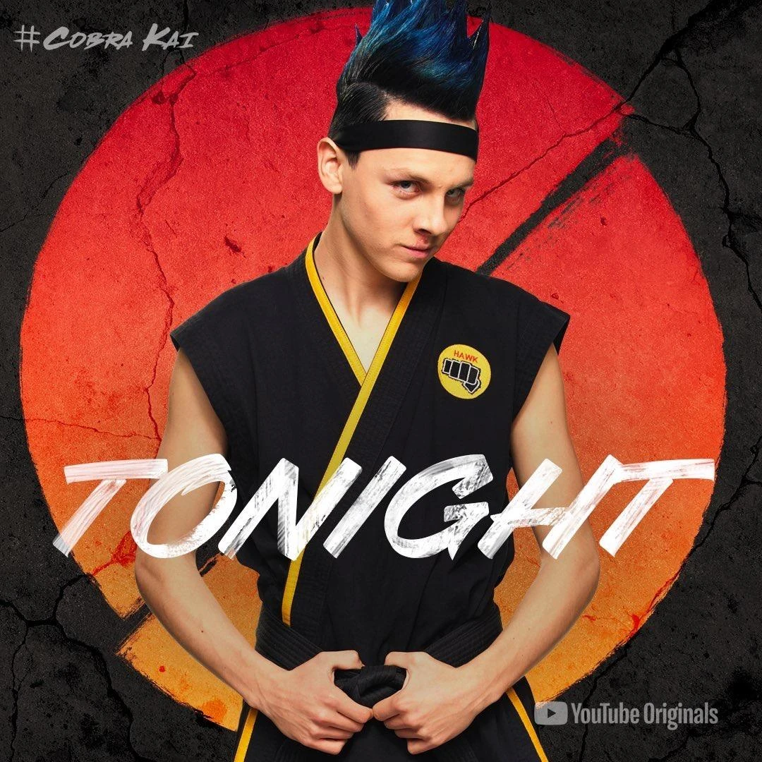 Should We Use This Photo On The Hawk Page Fandom