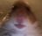 Dacooldudd5's avatar