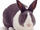 BlueyTheRabbit
