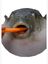 XxBagelxX's avatar