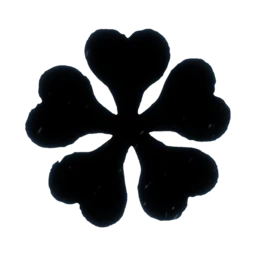 Black Clover Fanon Wiki