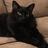 Blackcat927's avatar