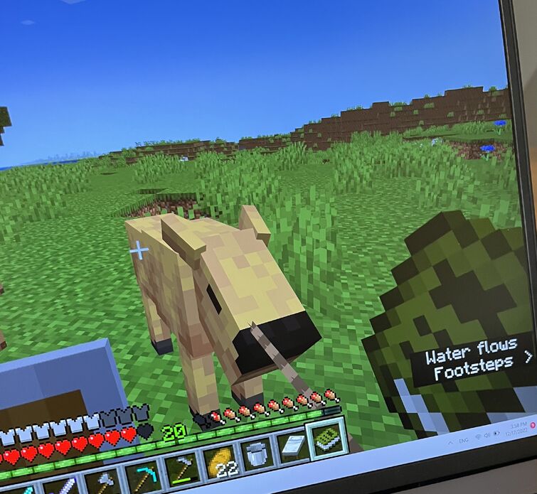 Does this belong to alexmobs fandom