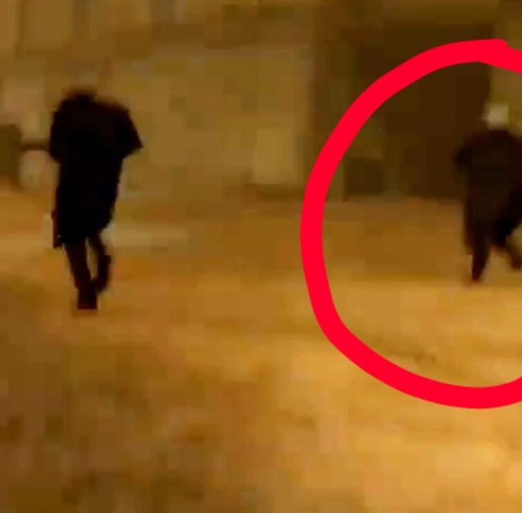 Simp Cameraman most likely survived in episode 56. Fandom