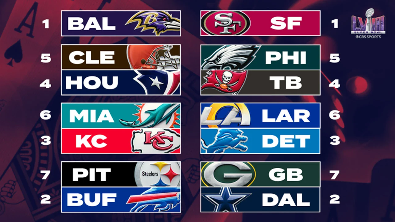 happy-nfl-playoffs-guys-fandom