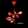 TheContributer1